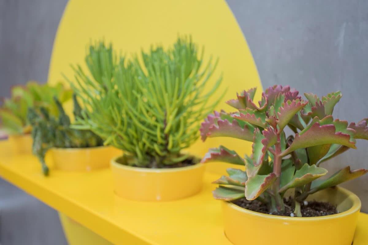 Liiiving In Porto - Clerigos Terrace Apartment Zewnętrze zdjęcie